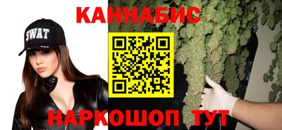 гашик Краснознаменск